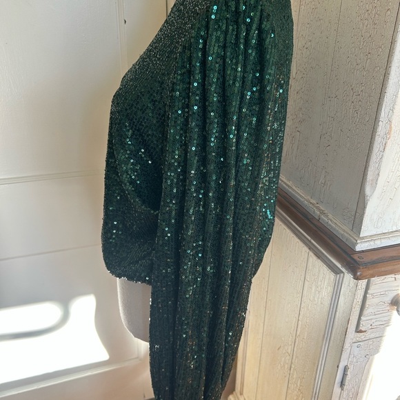 Anthropologie Dark Green Sequin Blouse - Picture 6 of 13